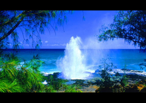 BEACH KAUAI HAWAII ART PRINT PHOTO POSTER