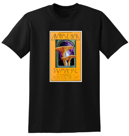 GRATEFUL DEAD TAJ MAHAL FILLMORE WEST 1970 VINTAGE CONCERT POSTER TSHIRT
