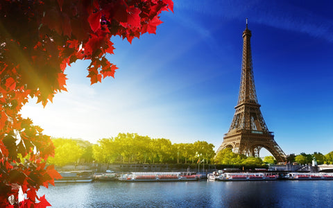 EIFFEL TOWER AUTUMN GICLEE CANVAS ART PRINT POSTER