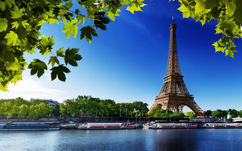 EIFFEL TOWER SUMMER GICLEE CANVAS ART PRINT POSTER
