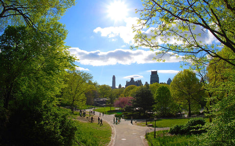 CENTRAL PARK NEW YORK CITY GICLEE CANVAS ART PRINT POSTER