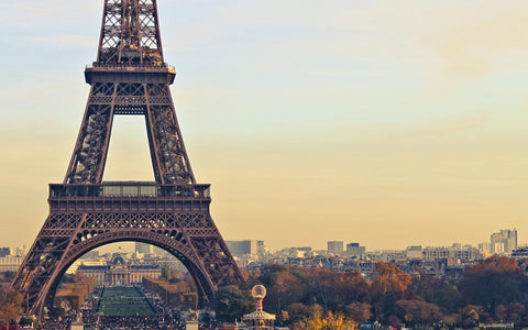 EIFFEL TOWER BACKGROUND GICLEE CANVAS ART PRINT POSTER