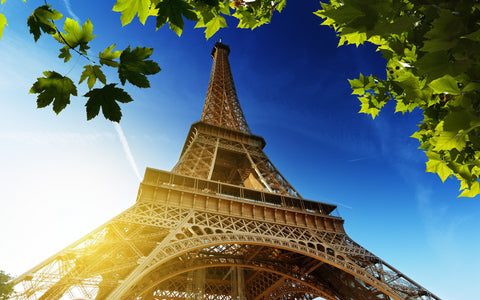 EIFFEL TOWER FRANCE GICLEE CANVAS ART PRINT POSTER