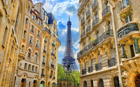EIFFEL TOWER PARIS HOUSES GICLEE CANVAS ART PRINT POSTER