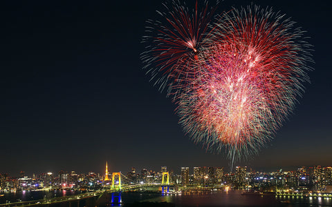 FIREWORKS TOKYO GICLEE CANVAS ART PRINT POSTER