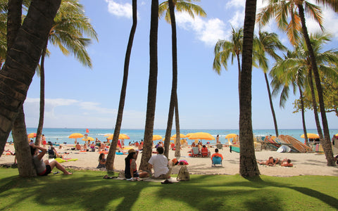 HAWAII WAIKIKI BEACH GICLEE CANVAS ART PRINT POSTER