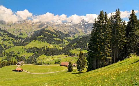 SWISS ALPS GICLEE CANVAS ART PRINT POSTER